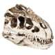 thumbnail image 3 of Cráneo de dinosaurio de resina con personalidad, adornos de esqueleto de Animal, accesorios, colección de Halloween, decoración artesanal, 3 of 14