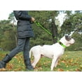 thumbnail image 2 of LAICAIW Dog Lead with Comfortable Padded Handle, Sturdy Dog Lead for Training and Walking, 150 x 1.2 cm, Reflective Soft Nylon Lead for Large Dogs, Green, 2 of 7