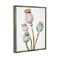 thumbnail image 3 of Stupell Industries Pastel Poppy Pods Watercolor Botanical & Floral Painting Gray Floater Framed Art Print Wall Art, 3 of 6