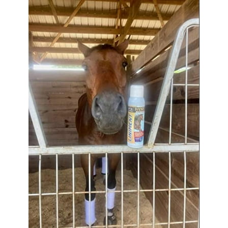 BANIXX Premium Liniment