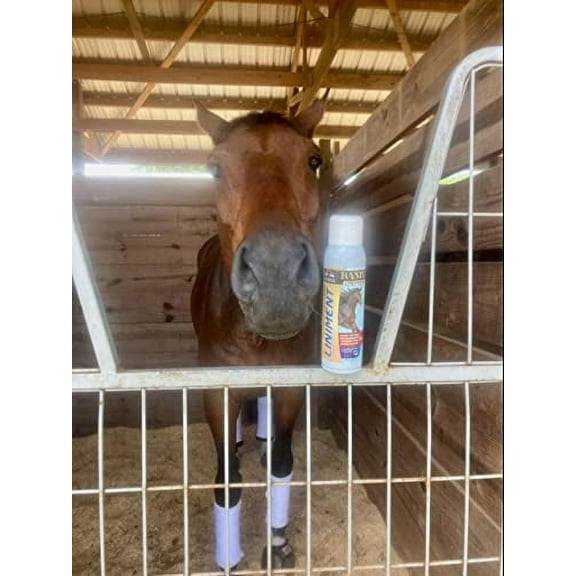 BANIXX Premium Liniment