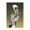 Pelican Portrait Intense Gaze, variant on Stupell Industries Tropical Resting Beach Pelican Black Floating Frame Canvas Art, 17 x 21, by Julie DeRice