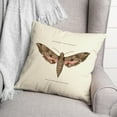 thumbnail image 3 of Creative Products Vintage Moth Diagram 18x18 Spun Poly Pillow, 3 of 3
