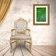 thumbnail image 3 of Engelbrecht, Lisa S. 11x14 Gold Ornate Wood Framed with Double Matting Museum Art Print Titled - Palm fronds, 3 of 4