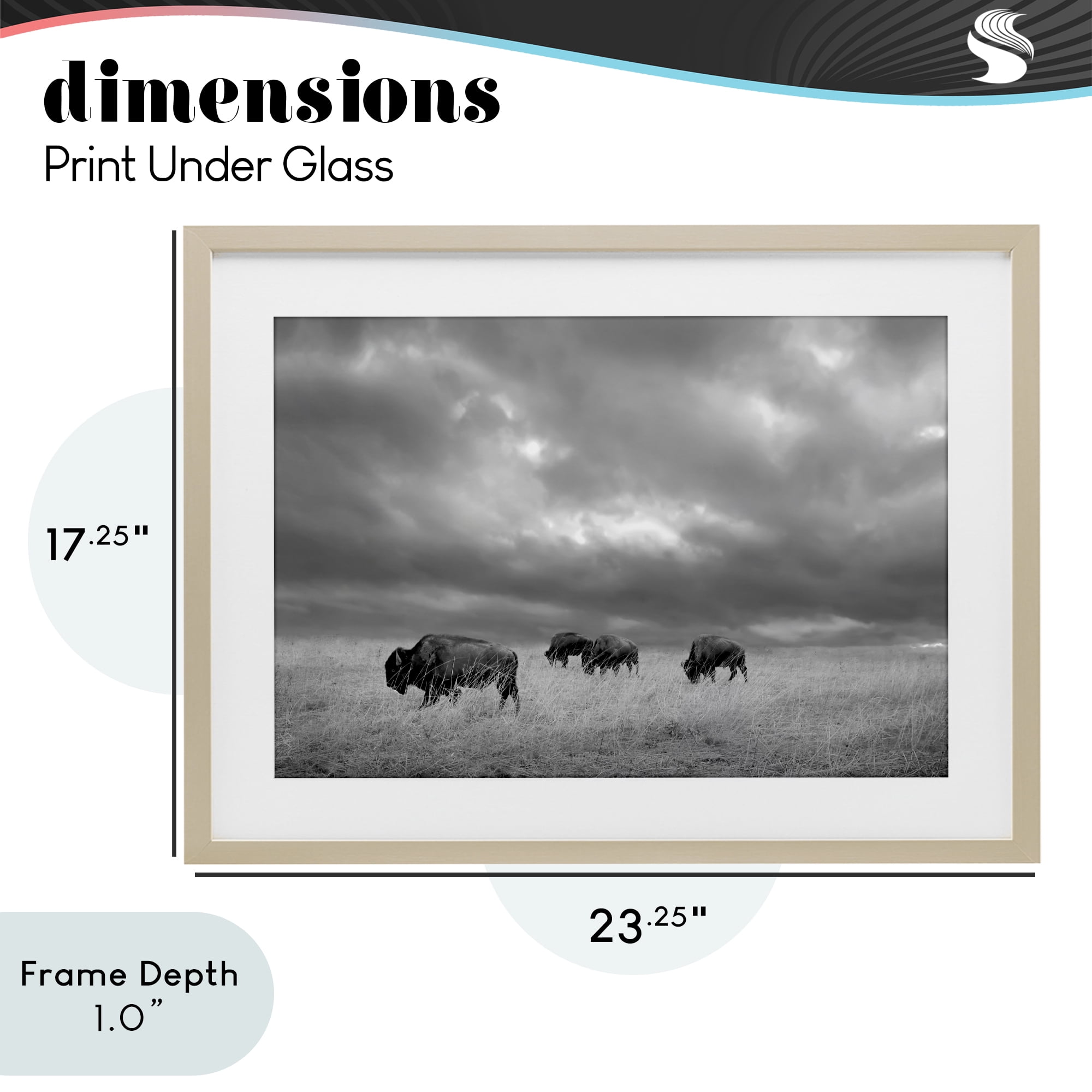 Stupell Industries Bisons Under an Autumn Sky Birch Framed Print Under Glass, design by Steve Toole