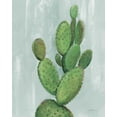 thumbnail image 2 of Vassileva, Silvia 15x18 White Modern Wood Framed Museum Art Print Titled - Front Yard Cactus I Slate, 2 of 4