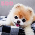 thumbnail image 1 of Mead 2022 Boo Wall Calendar, 12 x 12 Inches, Bilingual, 16-Months (DDF0622822), Multi, 1 of 5