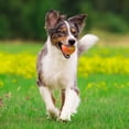 thumbnail image 3 of 1pc Electric Automatic Rolling LED Ball Toy, Durable Dog Chew Ball Toy Pet Grinding, 3 of 5