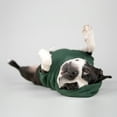 thumbnail image 4 of Gap Pet Dog and Cat Clothes, Classic Gap Logo Pet Hoodie, Green, Small, 4 of 17