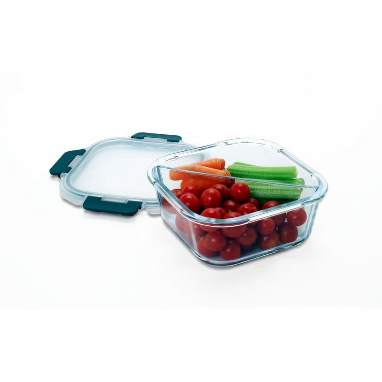 Orii 4 Pc Glass Food Storage Compartment Containers with High Wall Div