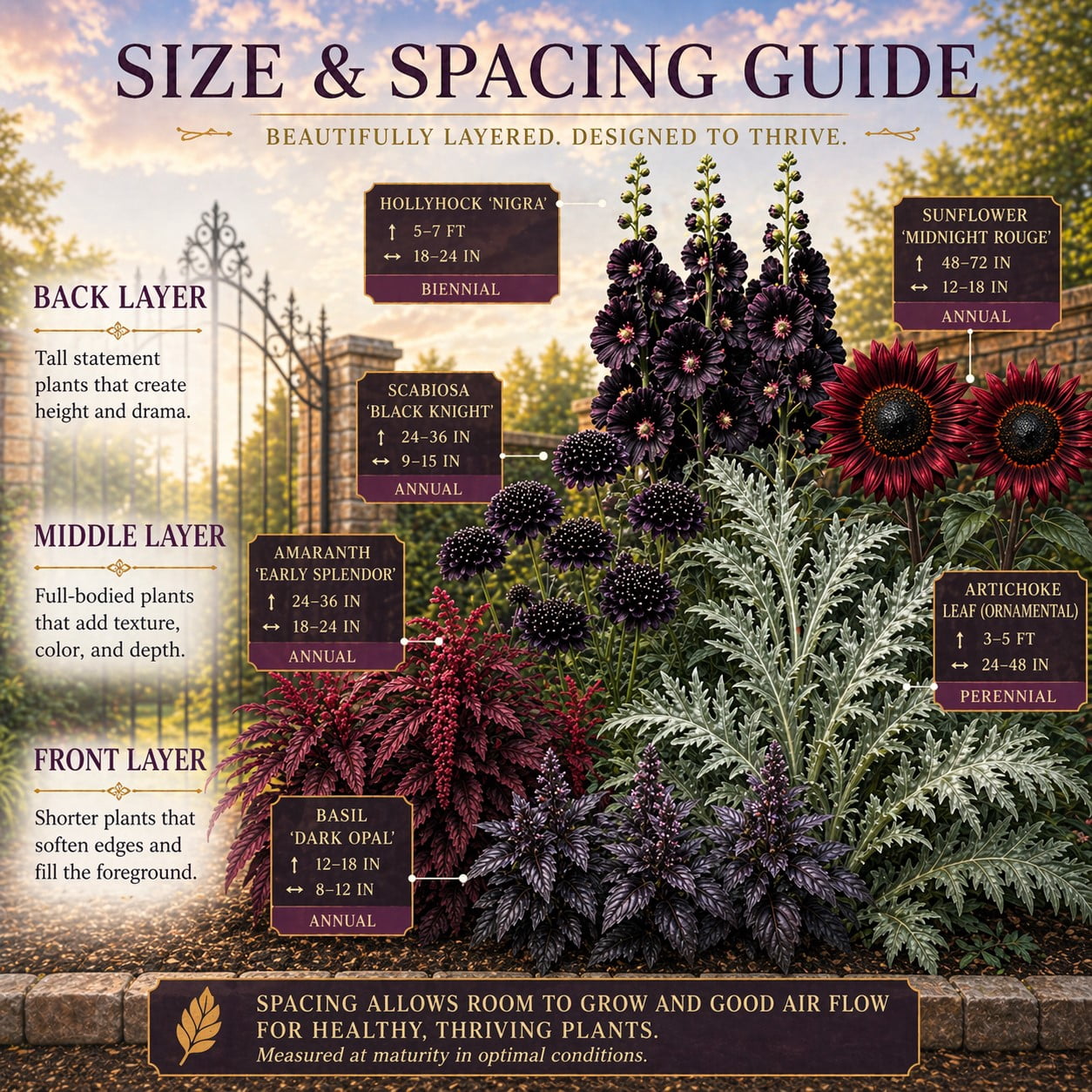 Ravens Hollow Garden Gothic Garden Seed Collection, 6 Open-Pollinated Flower & Foliage Varieties