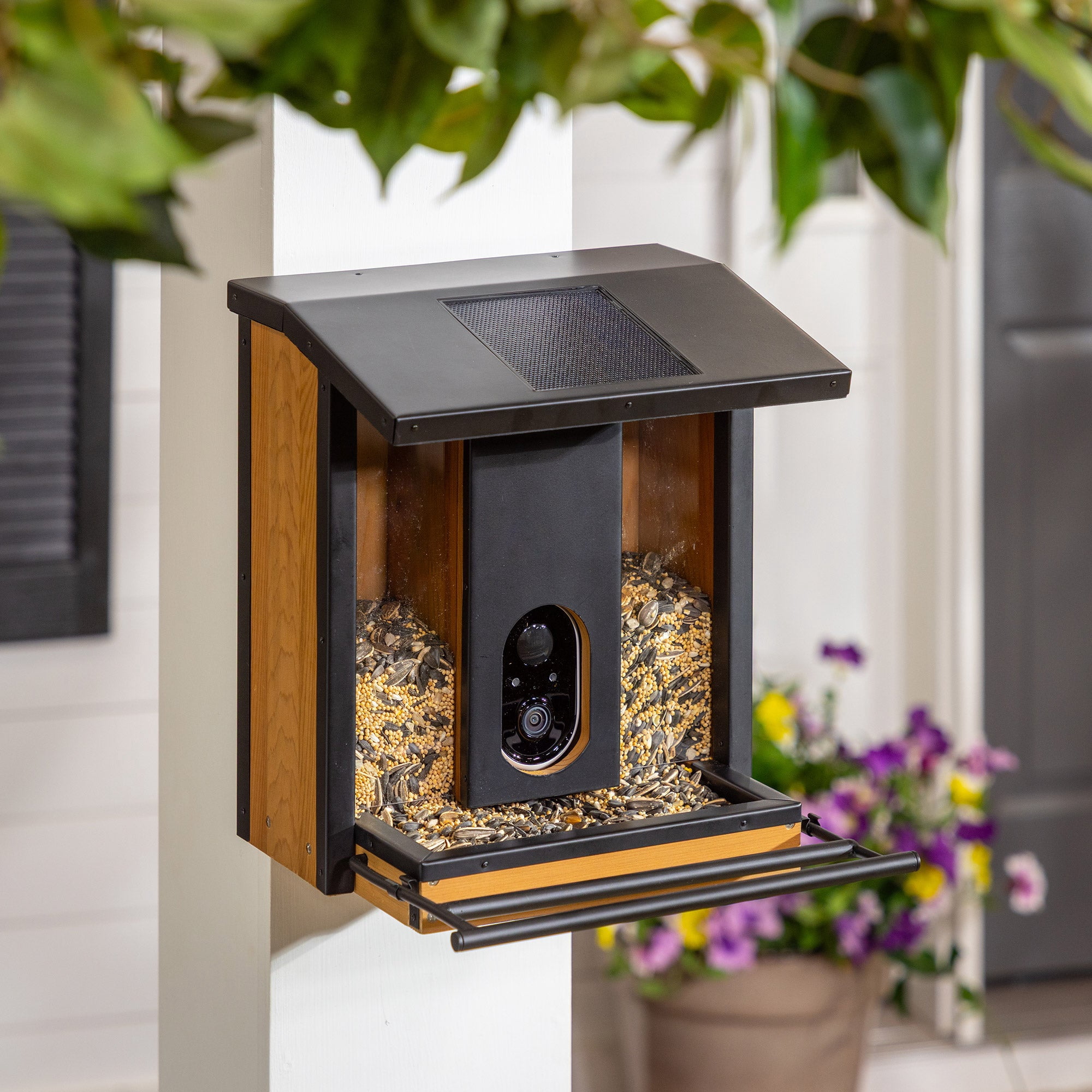 Evergreen Smart Bird Feeder with Solar Camera