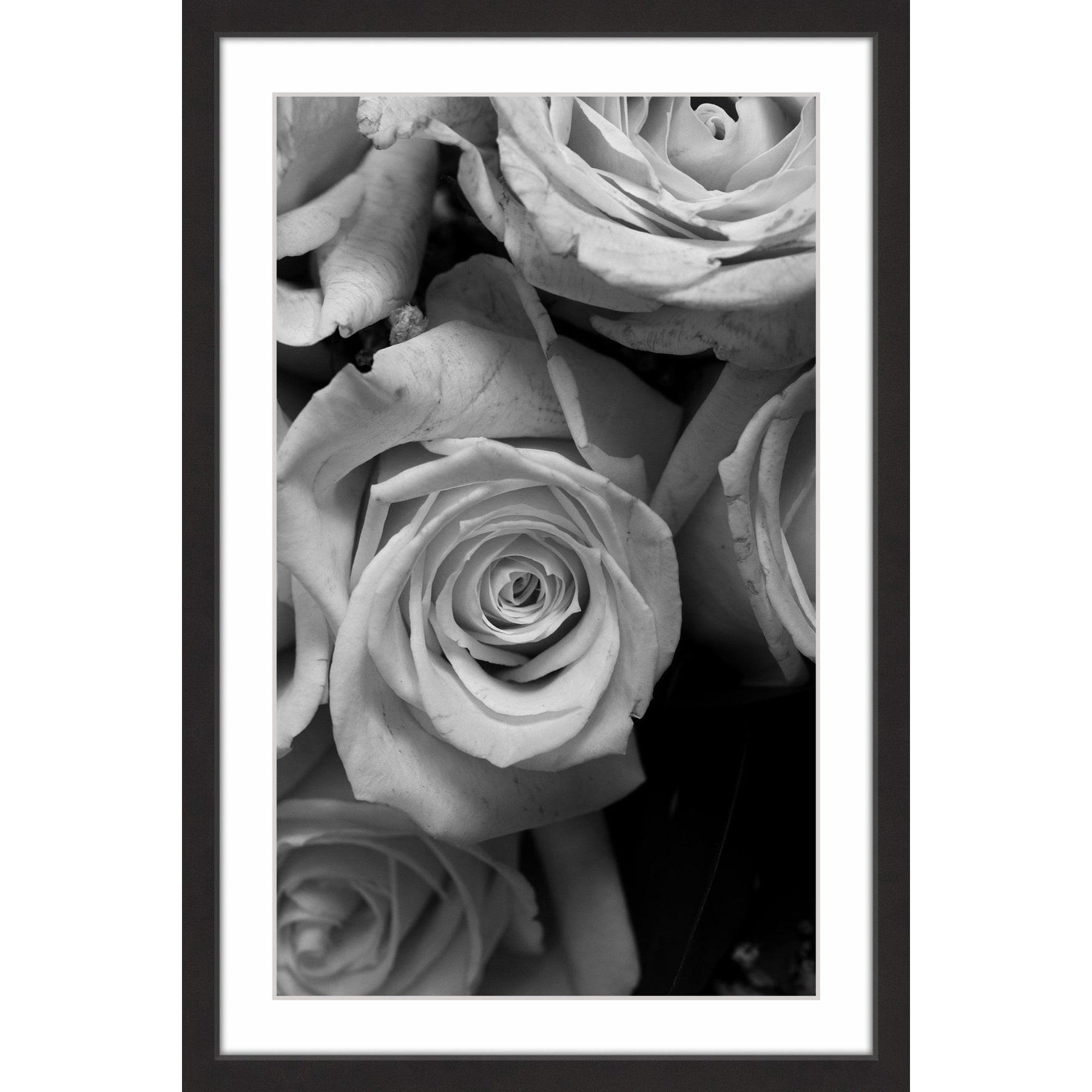 The Eyes of the Rose II Framed Painting Print