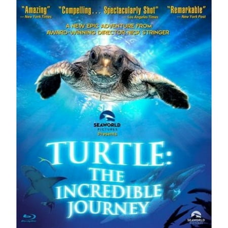 Turtle: The Incredible Journey (Blu-ray) (Widescreen)