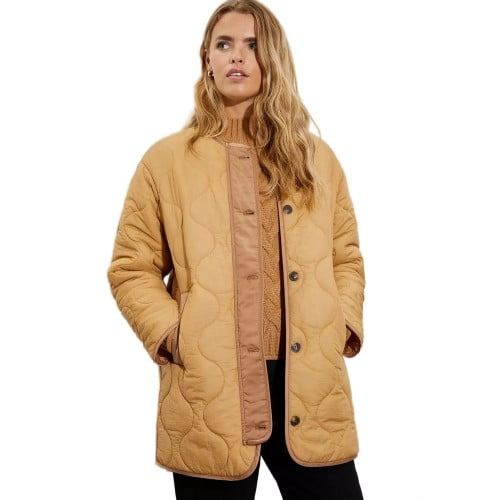 Women's jackets top dorothy perkins