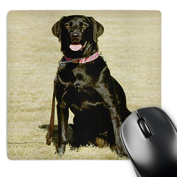 3dRose, Labrador Retriever, MousePad