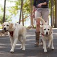 thumbnail image 4 of EzyDog Standard 24-Inch Rope Dog Leash Extension - Reflective Trim for Nighttime Safety - Add 2 for Walking 2 Dogs Tangle Free with Our Cujo Leashes (24â€, Black), 4 of 6