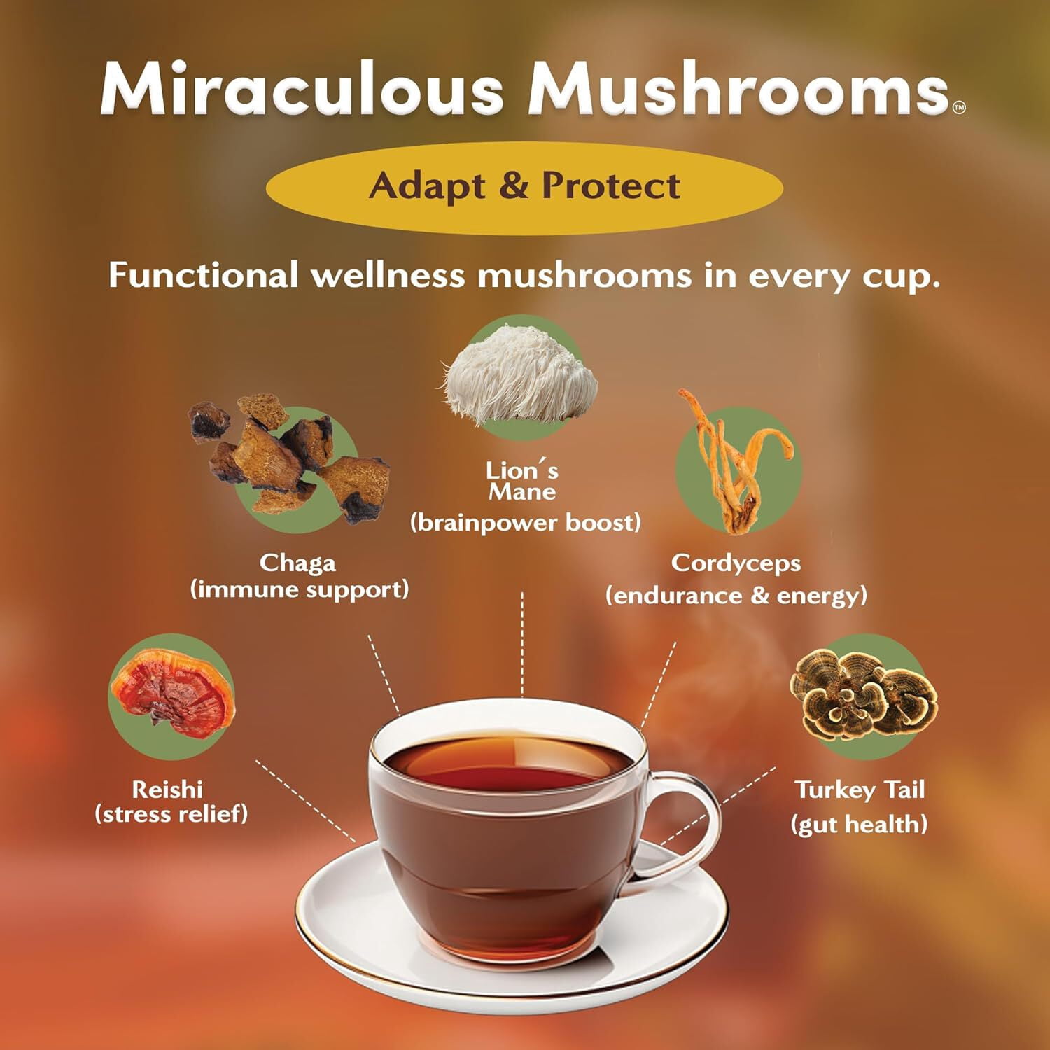 Teeccino Miraculous Mushrooms Adapt & Protect Coffee Alternative, 10 Oz – 5 Organic Adaptogenic Mushrooms with Chicory & Cacao