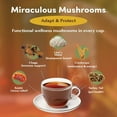 thumbnail image 4 of Teeccino Miraculous Mushrooms Adapt & Protect Coffee Alternative, 10 Oz – 5 Organic Adaptogenic Mushrooms with Chicory & Cacao, 4 of 7