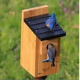 thumbnail image 3 of Nature's Way Cedar Bluebird House, Brown, 3 of 9