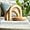 Natural 3pc Set Arches, variant on Home Decor Accents, Aesthetic Shelf Decor, Coffee Table Books Decor, Bookshelf Neutral Decor, Japandi Modern Decorative Object, Entryway Table Decor, Boho Living Room Decor (Natural 3pc Set Arches)