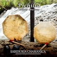 thumbnail image 3 of Pichilia Tambor ceremonial Chamánico grande SABIDURÍA CHAMÁNICA Tambor ceremonial tambor chamanico, 3 of 5