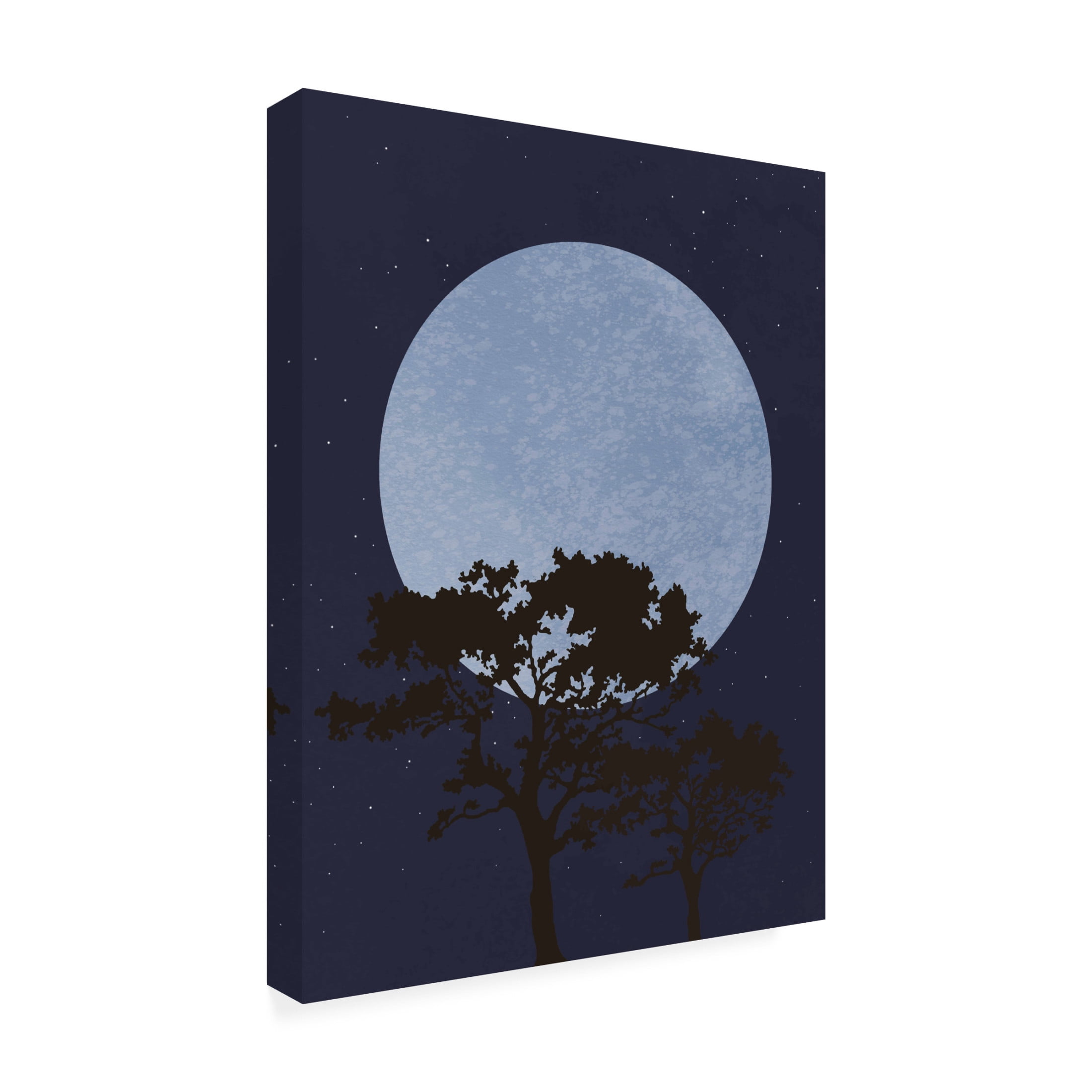 Canvas Wall Art - Pictufy Studio Ii 'Dark Night' Wall Art for Living Room, Bedroom, or Office Décor by Trademark Fine Art - 14 x 19 Inches