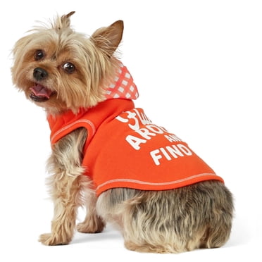 Vibrant Life Spring Pet Hoodie for Cats & Dogs, Fluff Around and Find Out, Orange, XS