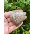thumbnail image 4 of Fossil Coral Gemstone Hearts, Polished Fossil Coral Puffy Hearts, Fossil Coral Palm Stone, Fossil Coral Heart (2 Hearts）, 4 of 9