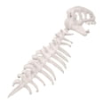 thumbnail image 4 of Disfraz de esqueleto de dinosaurio para Halloween, ideal para fiestas temáticas de disfraces y juegos de rol realistas. Blanco, 4 of 10