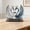 D, variant on Acrylic 2D Tabletop Figurine, Fantasy Animal & Nature Themed Desk Decor, Stained Glass Bird Ornament for Home Office Shelf Display