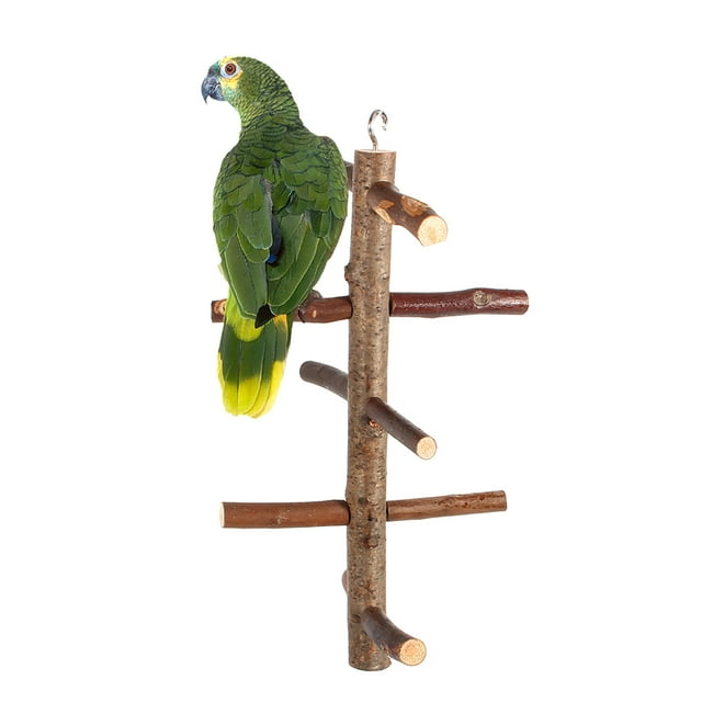 Cage Perches,Parrot Birds Perches Cage Birds Perches Parrot Perches Eco-Friendly Materials