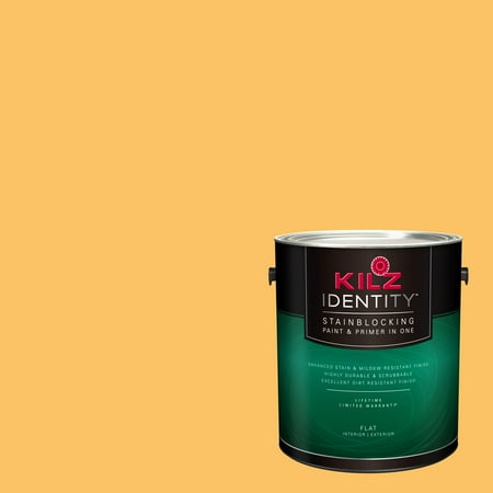 Kilz Identity Interior Exterior Stainblocking Paint Primer In