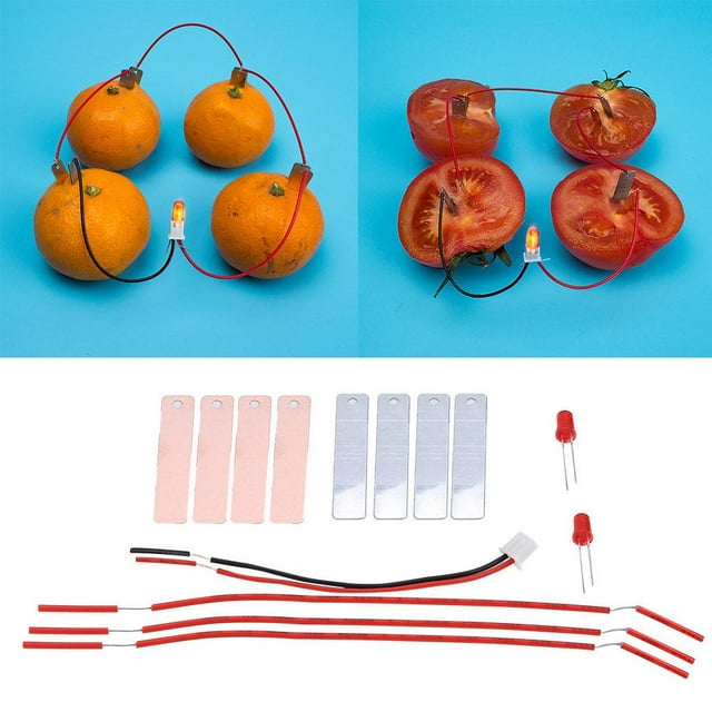 Cergrey Children DIY Fruit Battery, Educational DIY Fruit Battery, Children DIY Homemade Fruit Battery Power Educational Electricity-generating Experiment