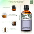 thumbnail image 2 of PHATOIL Rosemary Essential Oils for Diffusers Humidifier 100% Pure Natural Aromatherapy Massage Bath Sleep Relaxation 30ml/1.01 fl.Oz, 2 of 7