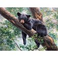 thumbnail image 2 of Cuadros Decorativos 5D DIY Diamond Painting Kits Black Bear Full Round Drill Wall Decor Art Crafts Tmvgtek embutido en tela, 2 of 9