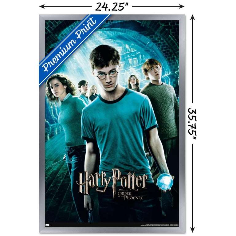 Harry Potter and the Order of the Phoenix - One Sheet Wall Poster
