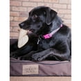 thumbnail image 3 of Downtown Pet Supply Long Lasting Cow Ears for Dogs 12 Pk, Dog Chews, 3 of 9
