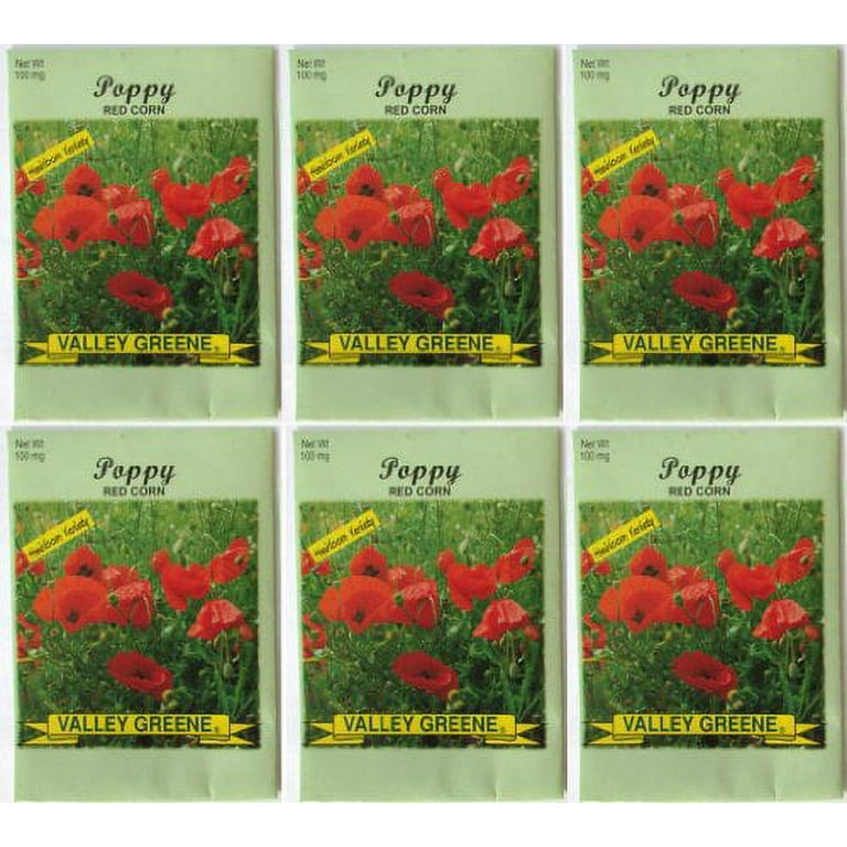 Set of 100 Assorted Current Year Valley Green Flower Seed Packets