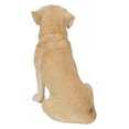 thumbnail image 4 of SITTING BROWN LABRADOR, 4 of 4