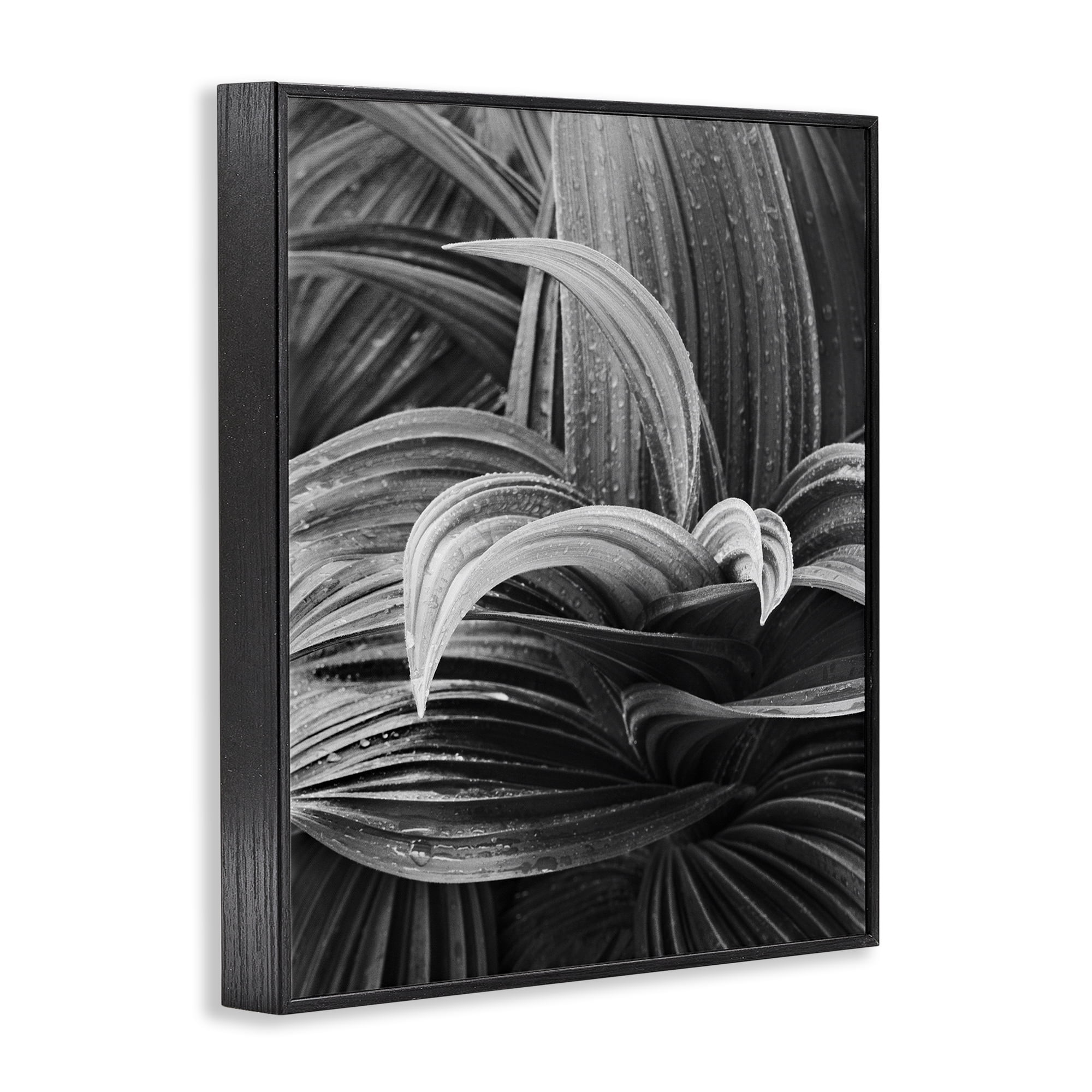 Stupell Industries Wet Leaves Detail Botanical & Floral Photography Black Framed Art Print Wall Art, 16 x 20