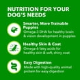 thumbnail image 4 of Iams Proactive Health Adult Wet Dog Food Chunks In Gravy Beef, Rice, Carrots & Green Beans Flavor, 13 Oz Can (Pack of 6), 4 of 6