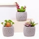 thumbnail image 4 of Mini suculenta artificial en maceta, planta de plástico en maceta, decoración de vegetación sintética, 4 of 5