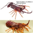 thumbnail image 1 of Simulation Lobster, Lifelike In Color And Texture Plastic Lobster, Durable Non- And  For Kids Toy Home, 1 of 8