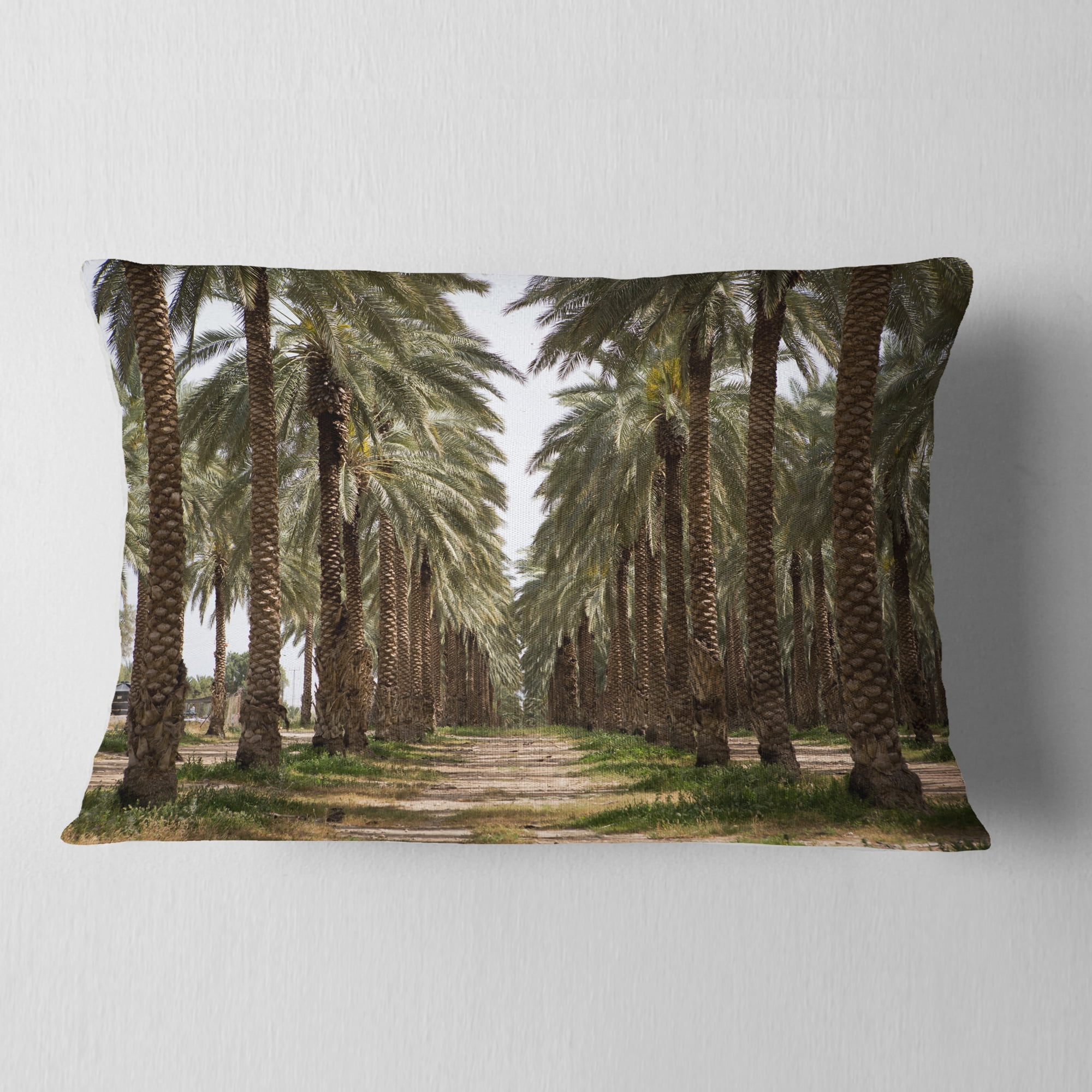 Designart Date Palm Plantation Photography - Modern Forest Throw Pillow - 12x20