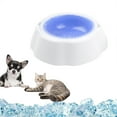 thumbnail image 5 of Pet Frosty Bowl for Dogs and Cats Stable Base Detachable Design for Food and Water Versatile Indoor and Outdoor Use, 5 of 6