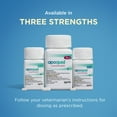 thumbnail image 5 of Apoquel (Oclacitinib) Tablets for Dogs, 5.4 mg, 5 of 8
