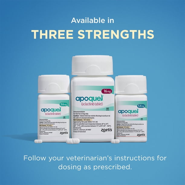 Apoquel (Oclacitinib) Tablets for Dogs, 5.4 mg - Walmart Business