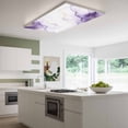 thumbnail image 3 of Marble Purple Magnetic Fluorescent Light Covers for Ceiling Lights 2x4Ft,Gold White Modern Gradient Ocean Ripple Office Classroom Kitchen Drop Ceiling Light Covers Lighting Filters Shade Panel 3Packs, 3 of 9