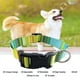 thumbnail image 4 of Collar ajustable para mascotas Collar para perro con estampado de transferencia de calor para tamaño mediano, 4 of 5